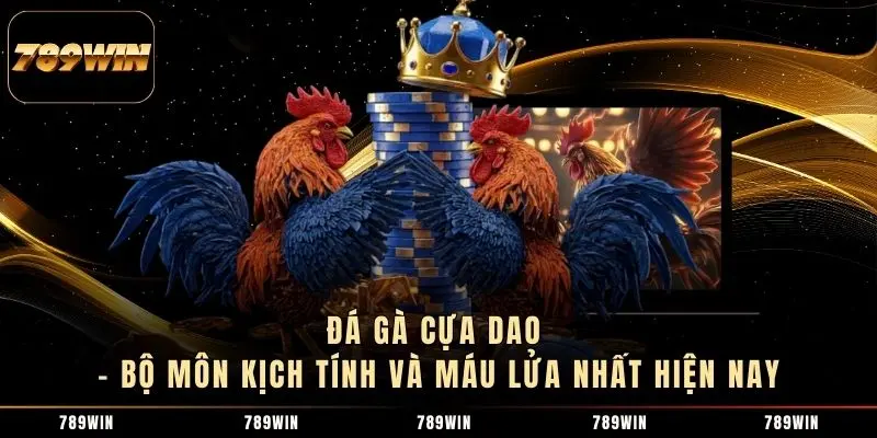 1 Đá Gà Cựa Dao – Bộ Môn Kịch Tính Và Máu Lửa Nhất Hiện Nay Đá Gà Cựa Dao – Bộ Môn Kịch Tính Và Máu Lửa Nhất Hiện Nay